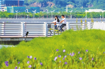 绿色软实力 发展硬支撑 珠海多年来坚持不懈推进生态文明建设成效卓著